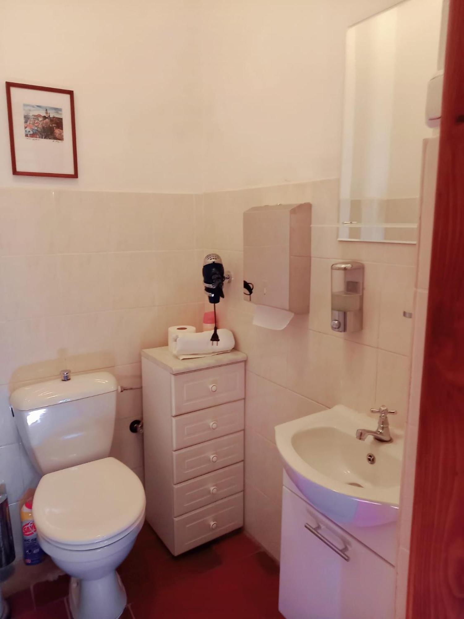 Pension Nina Český Krumlov Extérieur photo